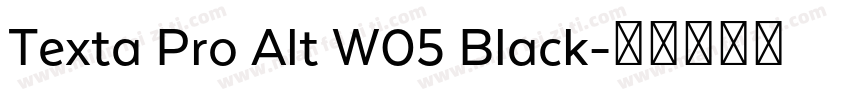Texta Pro Alt W05 Black字体转换